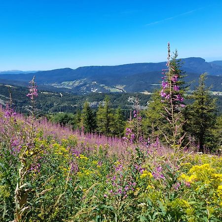 Duplex 59M2 - Proche Centre - Balcon Plein Sud Apartment Correncon-en-Vercors Luaran gambar