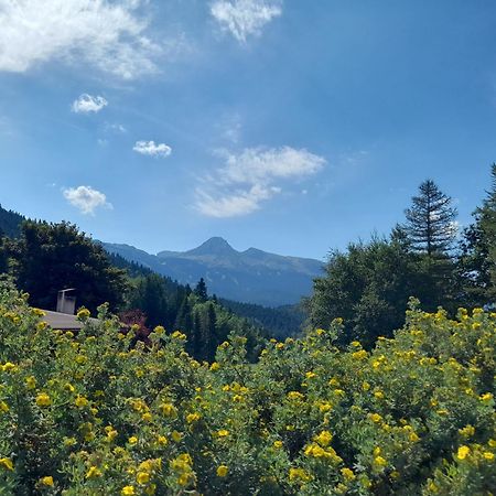 Duplex 59M2 - Proche Centre - Balcon Plein Sud Apartment Correncon-en-Vercors Luaran gambar