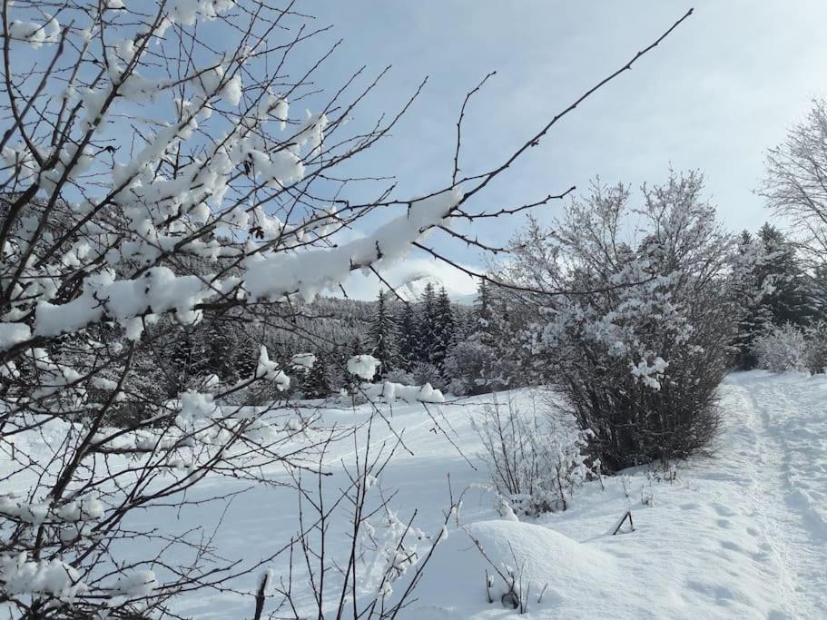 Duplex 59M2 - Proche Centre - Balcon Plein Sud Apartment Correncon-en-Vercors Luaran gambar