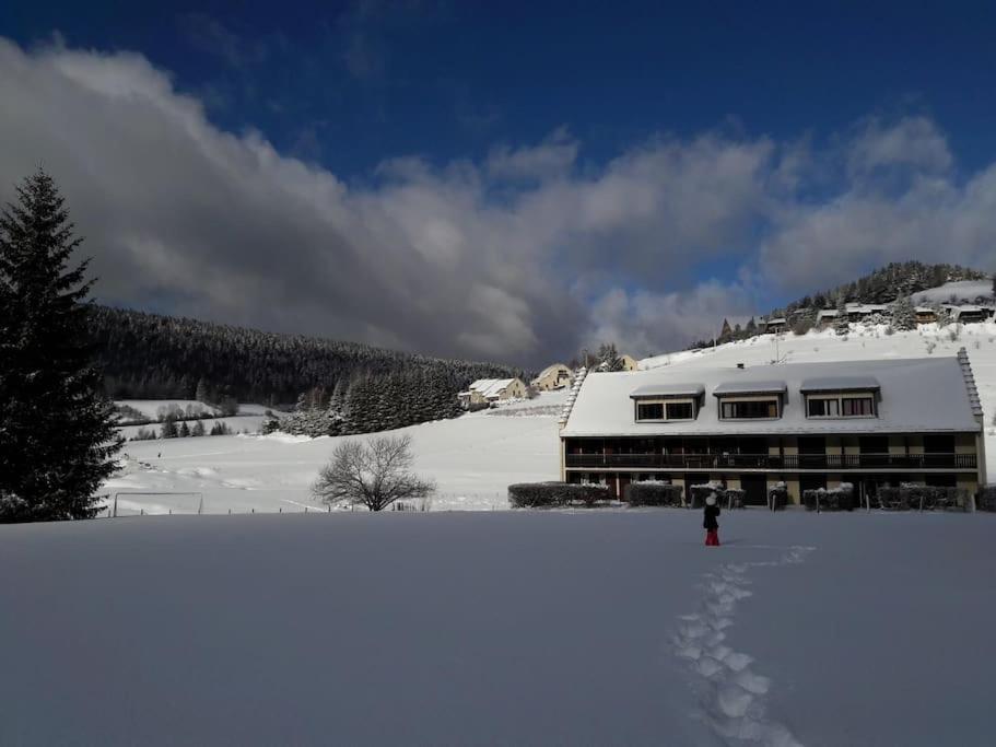 Duplex 59M2 - Proche Centre - Balcon Plein Sud Apartment Correncon-en-Vercors Luaran gambar