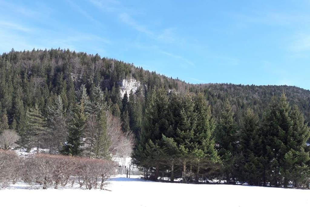 Duplex 59M2 - Proche Centre - Balcon Plein Sud Apartment Correncon-en-Vercors Luaran gambar