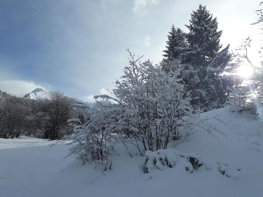 Duplex 59M2 - Proche Centre - Balcon Plein Sud Apartment Correncon-en-Vercors Luaran gambar
