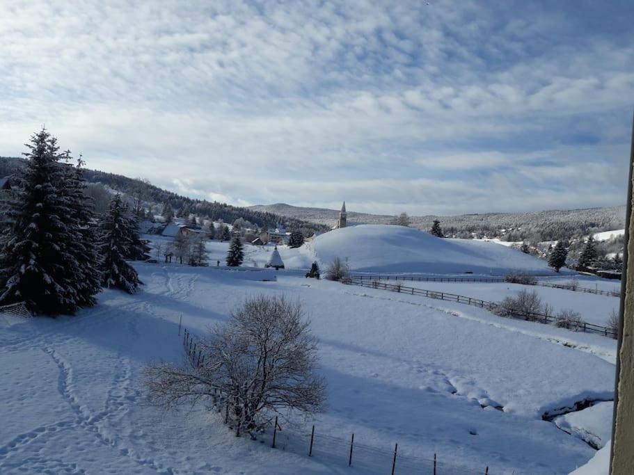 Duplex 59M2 - Proche Centre - Balcon Plein Sud Apartment Correncon-en-Vercors Luaran gambar