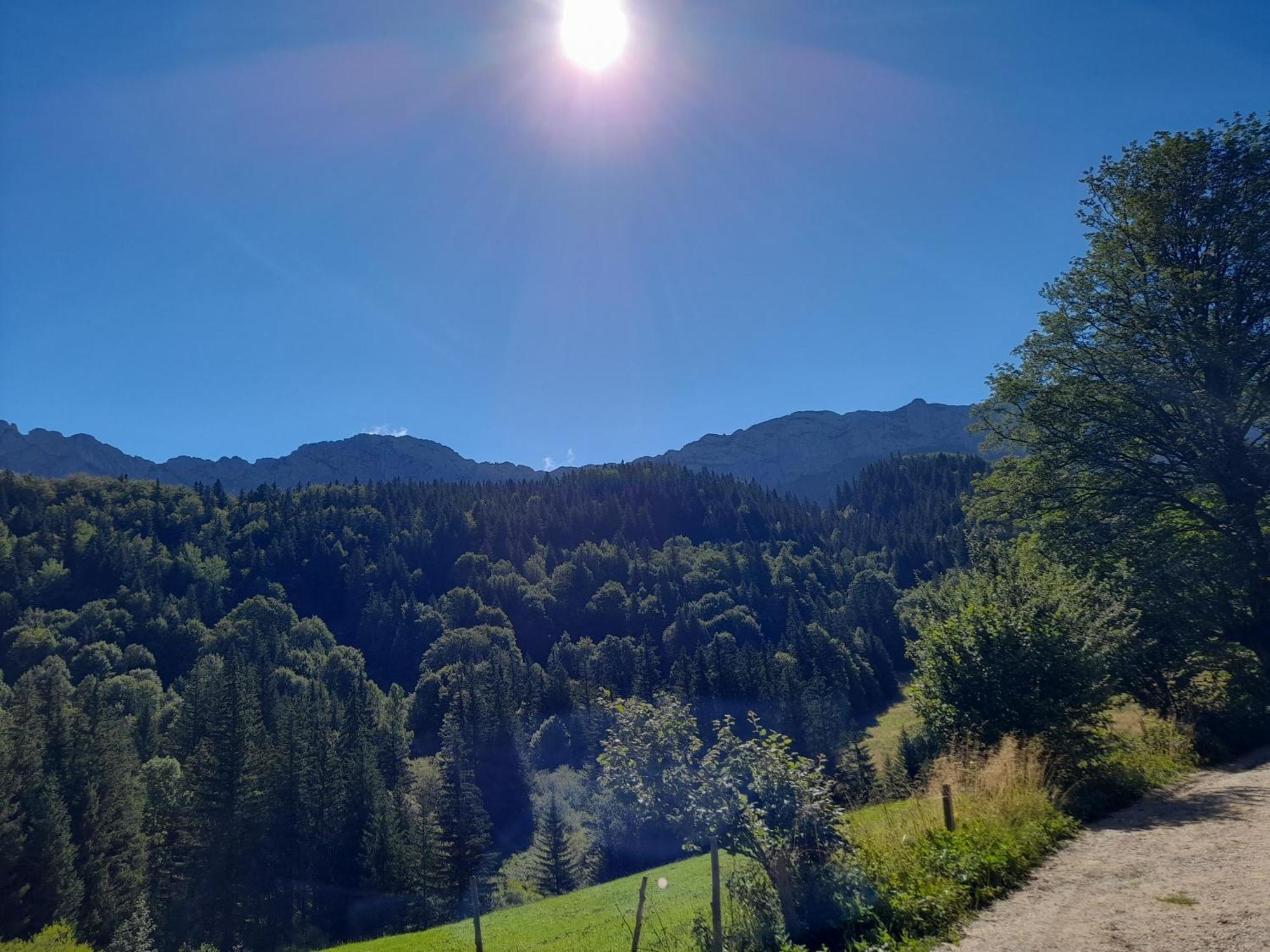 Duplex 59M2 - Proche Centre - Balcon Plein Sud Apartment Correncon-en-Vercors Luaran gambar