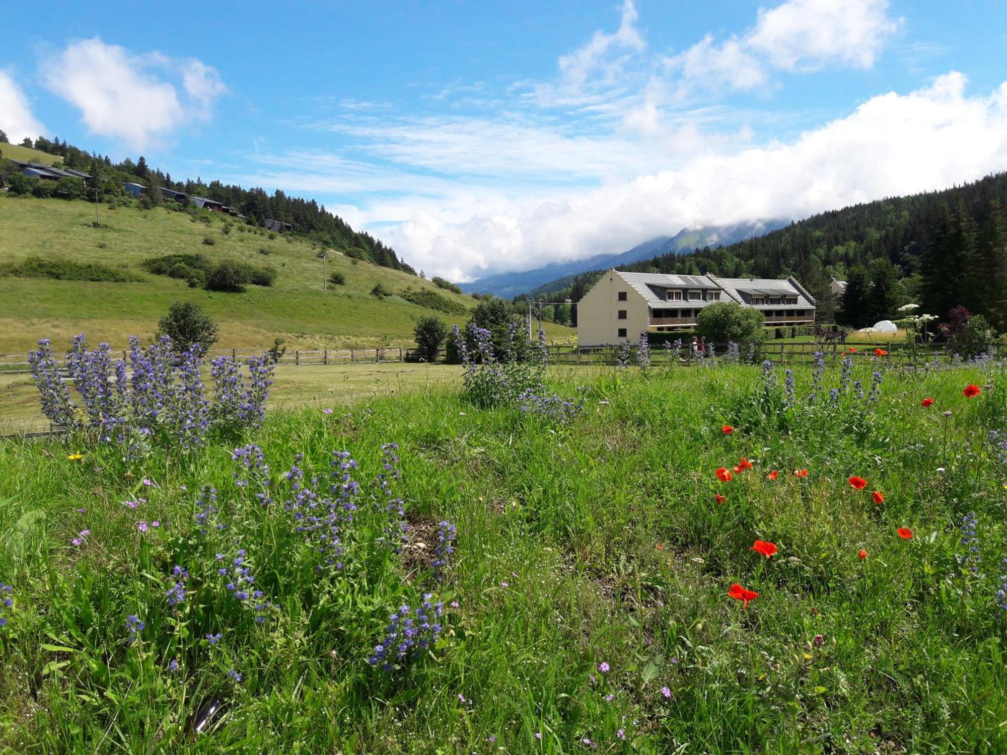 Duplex 59M2 - Proche Centre - Balcon Plein Sud Apartment Correncon-en-Vercors Luaran gambar